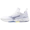 Pánská sálová obuv Mizuno  Wave LUMINOUS 3 White/Bellwether Blue