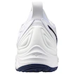 Pánská sálová obuv Mizuno  Wave MOMENTUM 3 White/Bellwether Blue