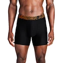 Pánské boxerky Under Armour Perf Tech 6in