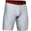 Pánské boxerky Under Armour  Tech 9in 2 Pack grey Dynamic