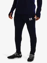 Pánské kalhoty Under Armour  M's Ch. Train Pant-BLU