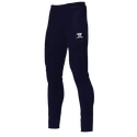 Pánské kalhoty Warrior Alpha X Performance Pant XL, modrá