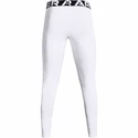 Pánské legíny Under Armour  ColdGear Armour Leggings White