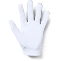 Pánské rukavice Under Armour  Medal Golf Glove grey