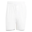 Pánské šortky adidas  Club Short White