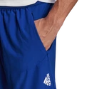 Pánské šortky adidas  Designed 4 Training Shorts Royal Blue