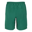 Pánské šortky Fila  Shorts Santana Green Jacket