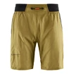 Pánské šortky Klättermusen  Nal Shorts Meadow Green