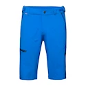 Pánské šortky Mammut  Runbold Shorts Ice 50