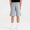 Pánské šortky New Era  Colour Block Short NBA Boston Celtics