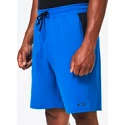 Pánské šortky Oakley  VIGOR ELLIPSE SHORT