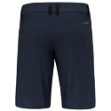 Pánské šortky Salewa  Agner DST M Shorts