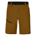 Pánské šortky Salewa  Puez 3 DST M Shorts Golden Brown L