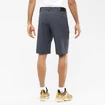 Pánské šortky Salomon  Wayfarer Shorts Ebony