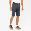 Pánské šortky Salomon  Wayfarer Shorts Ebony