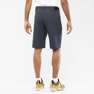 Pánské šortky Salomon  Wayfarer Shorts Ebony 48