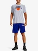 Pánské šortky Under Armour  BASELINE 10'' SHORT-BLU