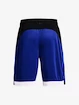 Pánské šortky Under Armour  BASELINE 10'' SHORT-BLU