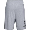 Pánské šortky Under Armour  COTTON BIG LOGO SHORTS gray