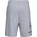 Pánské šortky Under Armour  COTTON BIG LOGO SHORTS gray