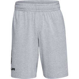 Pánské šortky Under Armour COTTON BIG LOGO SHORTS gray