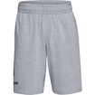 Pánské šortky Under Armour  COTTON BIG LOGO SHORTS gray XXL