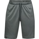 Pánské šortky Under Armour  Lighter Longer Short S