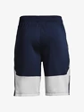 Pánské šortky Under Armour  Raid 2.0 Shorts-NVY