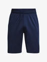 Pánské šortky Under Armour  Raid 2.0 Shorts-NVY