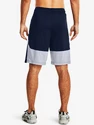 Pánské šortky Under Armour  Raid 2.0 Shorts-NVY