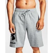 Pánské šortky Under Armour  Rival FLC Big Logo Shorts gray