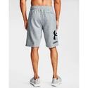 Pánské šortky Under Armour  Rival FLC Big Logo Shorts gray