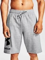 Pánské šortky Under Armour  Rival FLC Big Logo Shorts gray