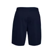 Pánské šortky Under Armour  Tech Mesh Shorts blue