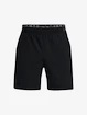 Pánské šortky Under Armour  Vanish Woven 6in Shorts-BLK