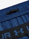 Pánské šortky Under Armour  Vanish Woven 6in Shorts-BLU