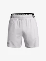 Pánské šortky Under Armour  Vanish Woven 6in Shorts-GRY