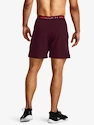 Pánské šortky Under Armour  Vanish Woven 6in Shorts-MRN