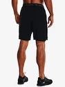 Pánské šortky Under Armour  Vanish Woven 8in Shorts-BLK