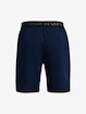 Pánské šortky Under Armour  Vanish Woven 8in Shorts-NVY