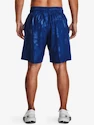 Pánské šortky Under Armour  Woven Emboss Short-BLU