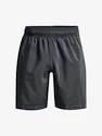 Pánské šortky Under Armour  Woven Graphic Shorts-GRY