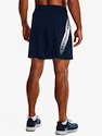 Pánské šortky Under Armour  Woven Graphic Shorts-NVY