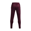 Pánské tepláky Under Armour  Terry Pant Red