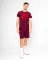 Pánské tričko BIDI BADU  Protected Leafs Chill Tee Bordeaux