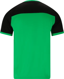 Pánské tričko FZ Forza  Alberti M S/S Tee Perfect Green