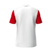 Pánské tričko Head  CLUB 25 TECH T-Shirt Men Red/White