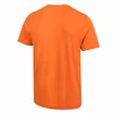 Pánské tričko Inov-8  Graphic Tee "Brand" Orange