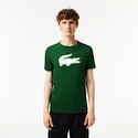 Pánské tričko Lacoste  Big Logo Core Performance T-Shirt Green/White