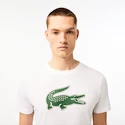 Pánské tričko Lacoste  Big Logo Core Performance T-Shirt White/Green